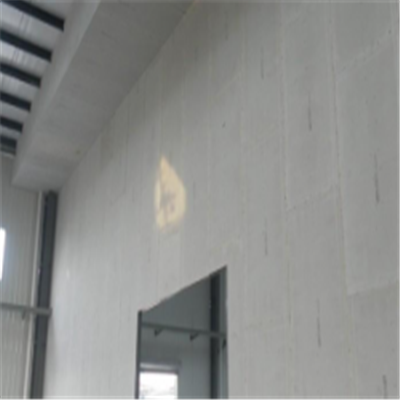 越西宁波ALC板|EPS加气板隔墙与混凝土整浇联接的实验研讨